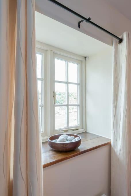 Coastal Cottage 'The Garden Cottage ' Hartland Ngoại thất bức ảnh